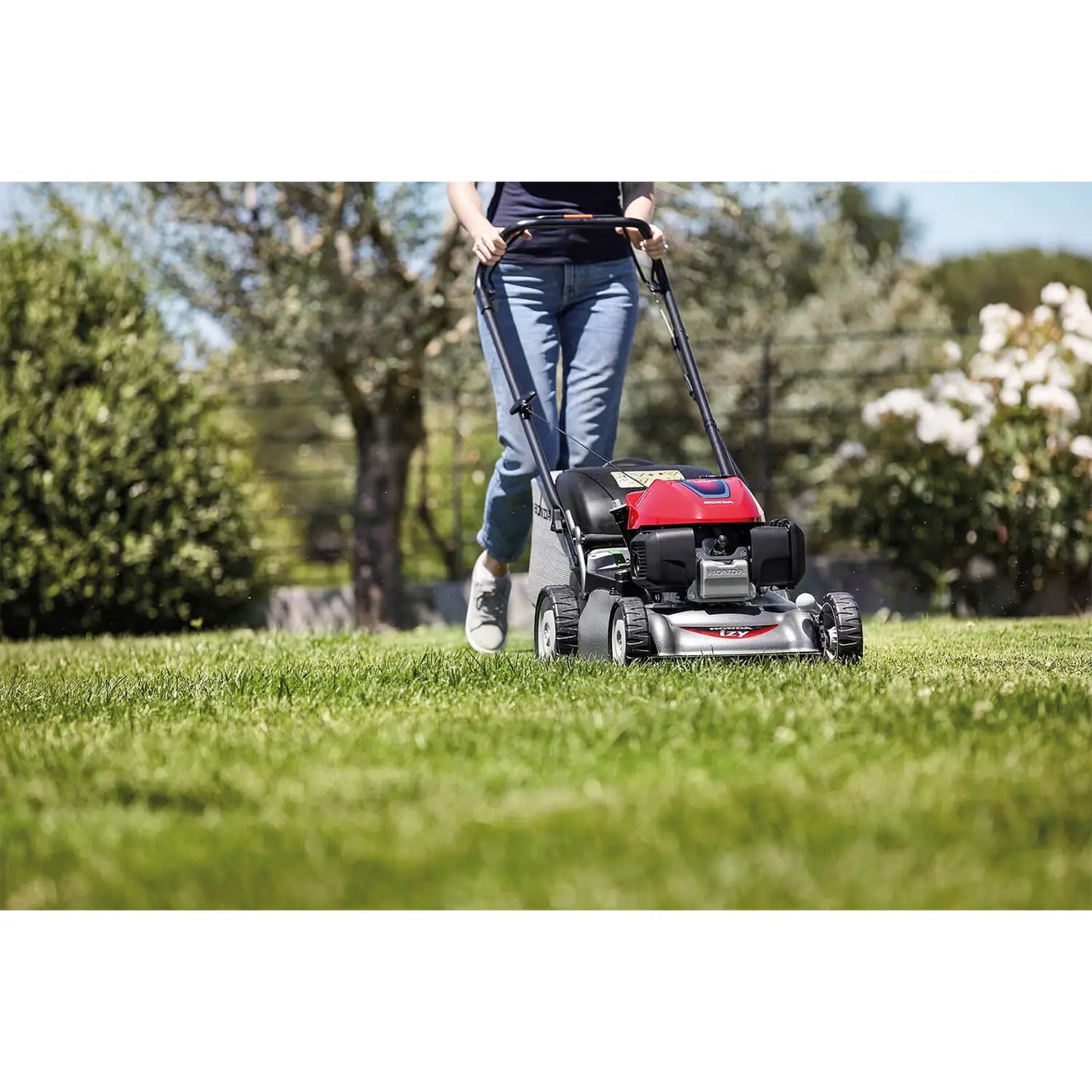 Honda HRG 466 PKEH - MorgansMachinery