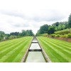 Weibang Legacy 48 PRO BBC Rear Roller Lawnmower