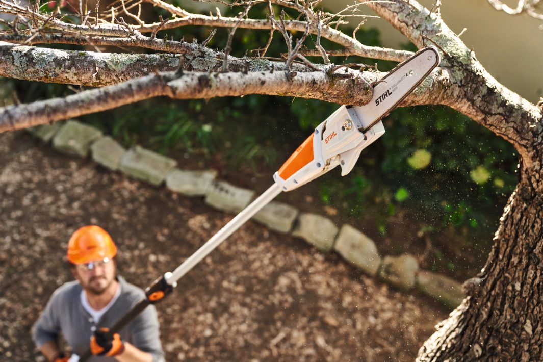Stihl HTA50 Cordless Pole Pruner - Ak System - MorgansMachinery