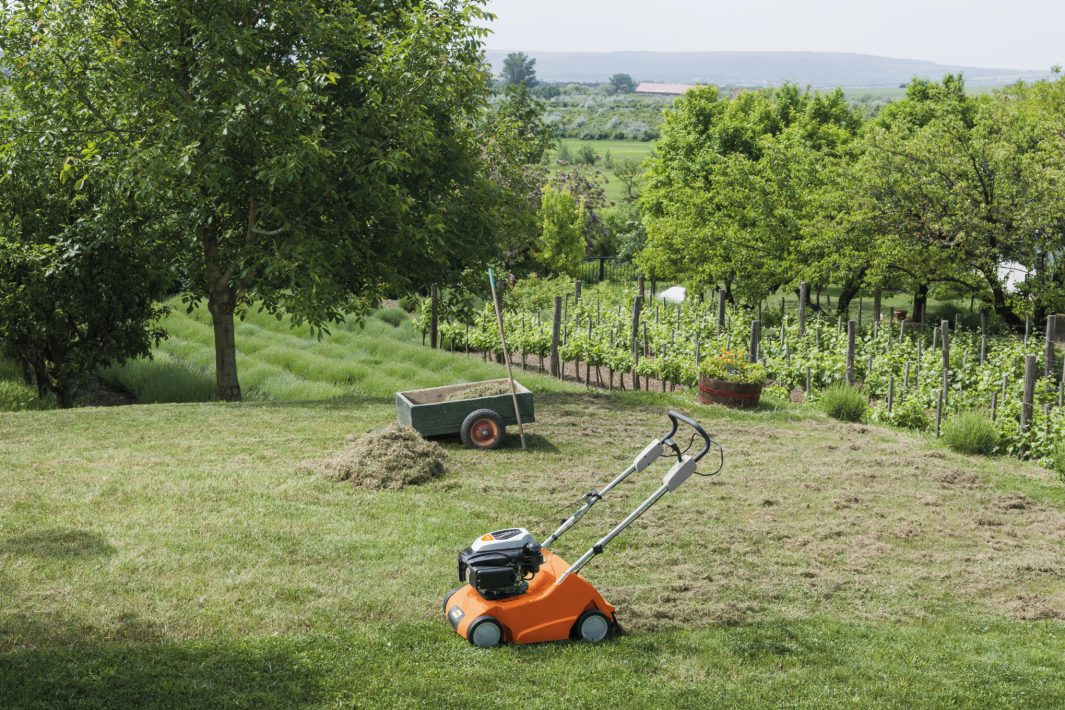 Stihl RL540 Petrol Lawn Scarifier - MorgansMachinery