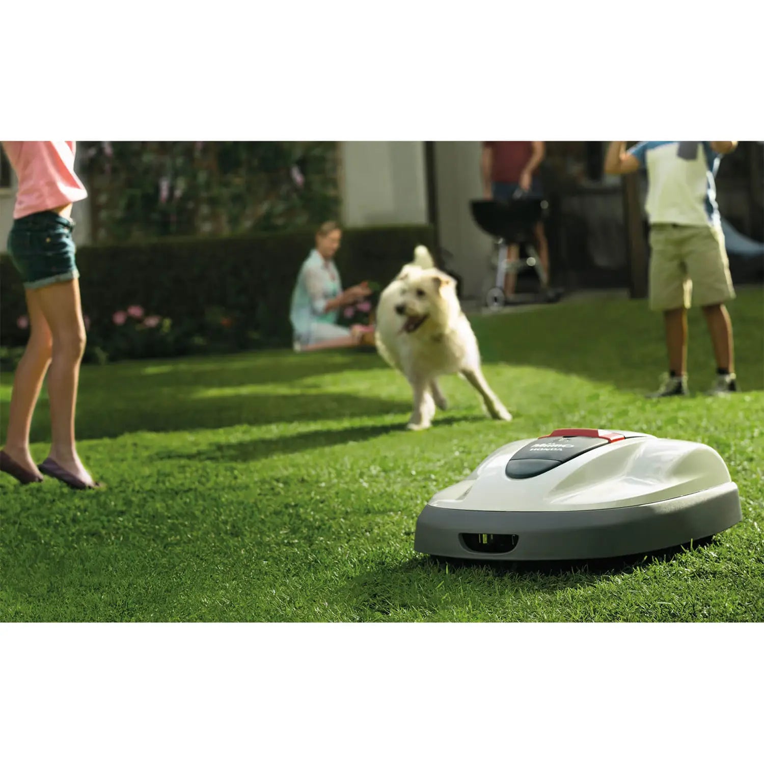 Honda Miimo Automower 520 Morgans Machinery