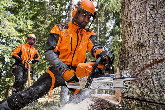 Two workers in stihl orange safety gear cutting a tree with chainsaws in a forest setting.