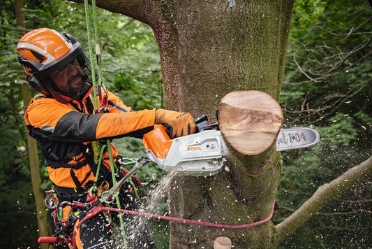 Person cutting a tree branch with a stihl chainsaw in a forest setting