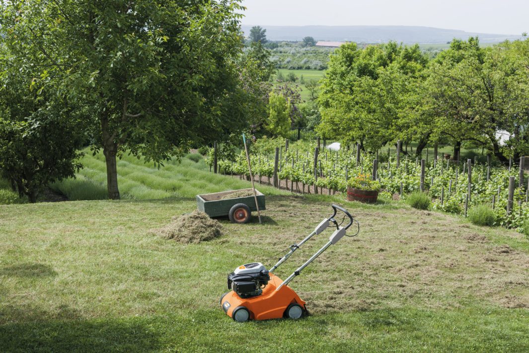 Stihl lawn deals scarifier